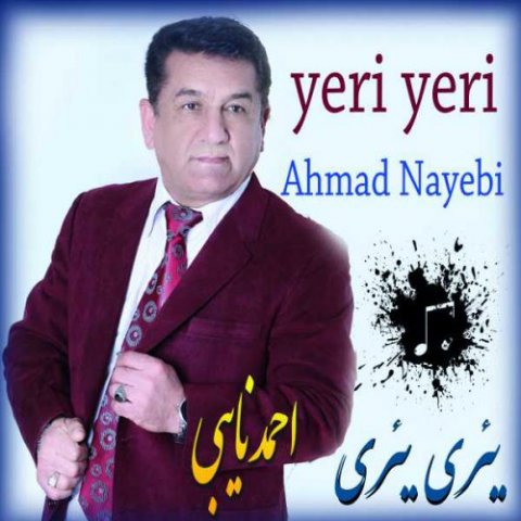 دانلود آهنگ یری یری احمد نایبی